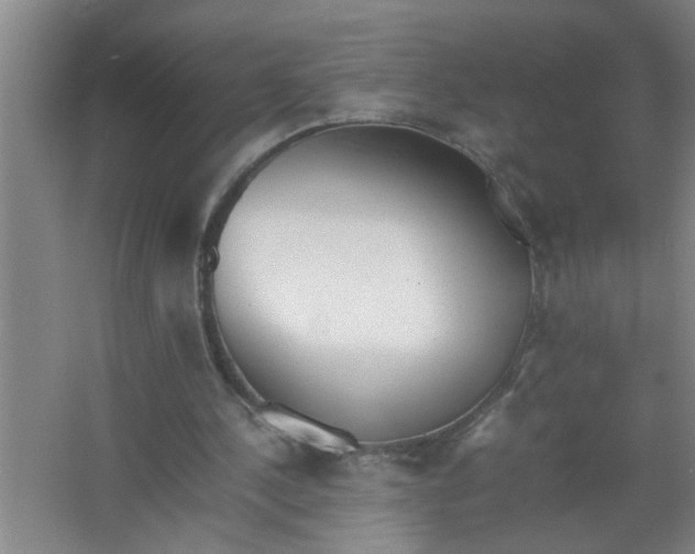 X0000062930244200601271839