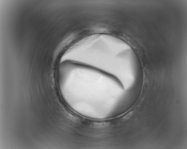 X0000062930245200601271839