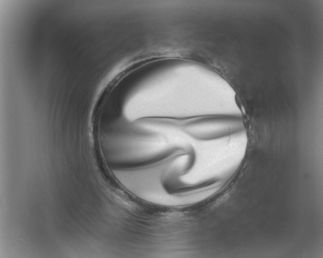 X0000062930246200601271839