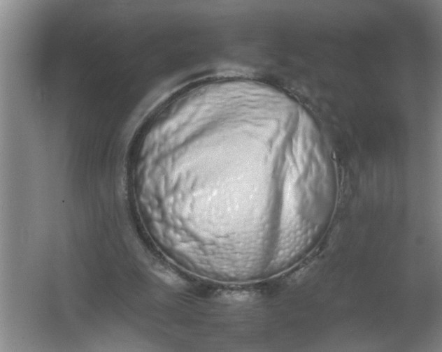 X0000062930247200601271839