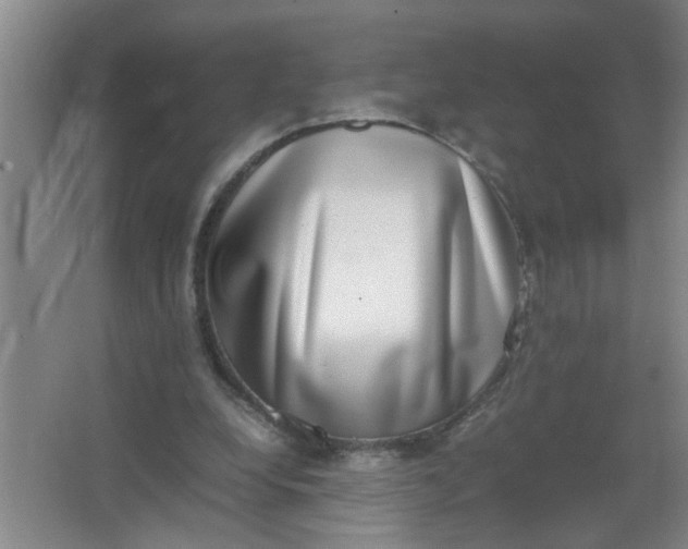 X0000062930248200601271839