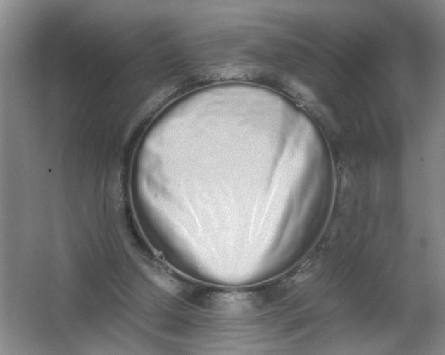 X0000062930250200601271839