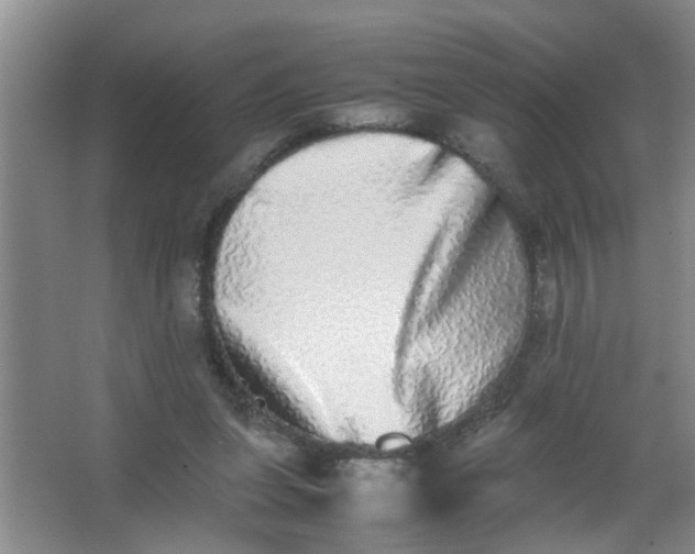 X0000062930255200601271840
