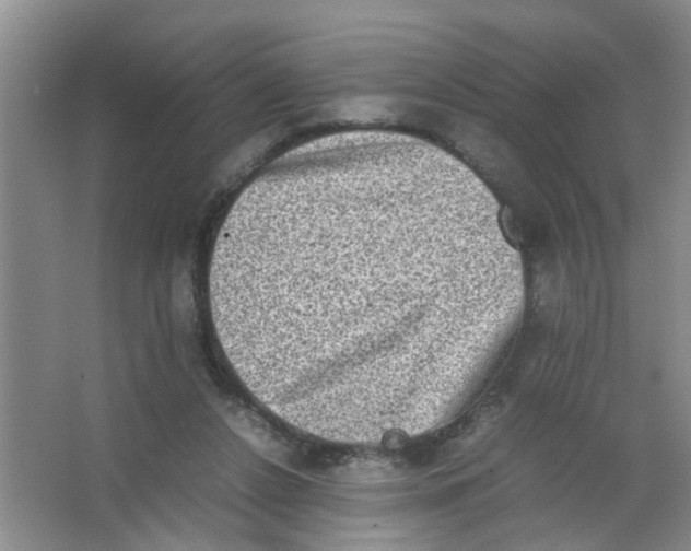 X0000062930256200601271840