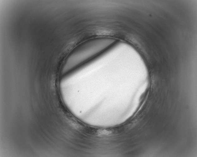 X0000062930257200601271840