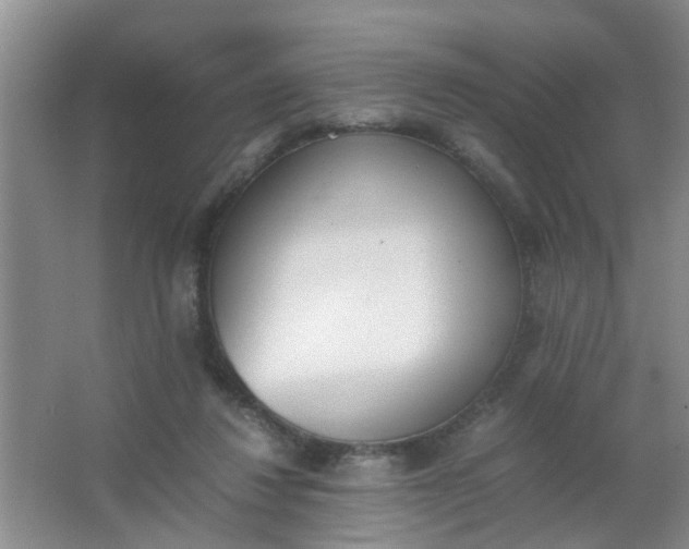 X0000062930260200601271840