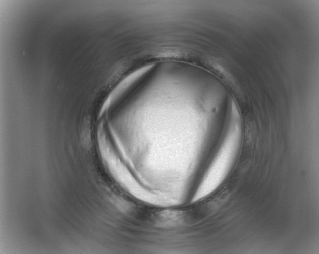 X0000062930261200601271840
