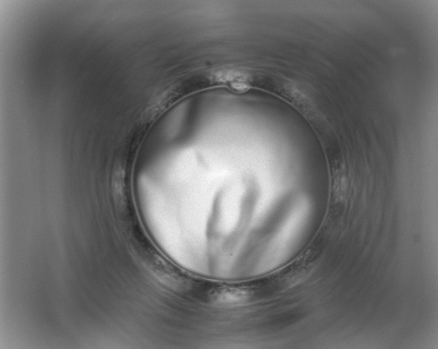 X0000062930263200601271840