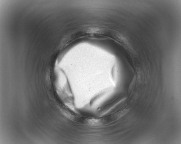 X0000062930265200601271840