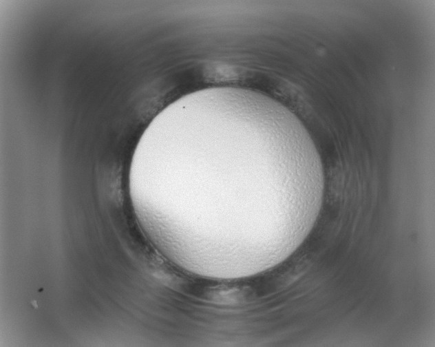 X0000062930267200601271840