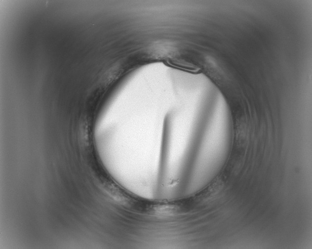 X0000062930268200601271840