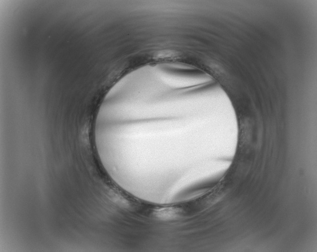 X0000062930269200601271840