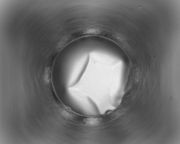 X0000062930273200601271840