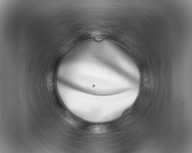 X0000062930275200601271840