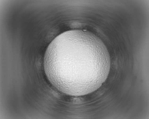 X0000062930277200601271840