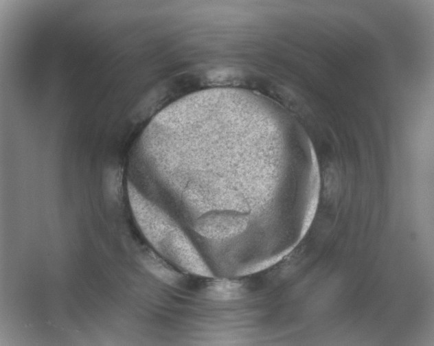 X0000062930278200601271840