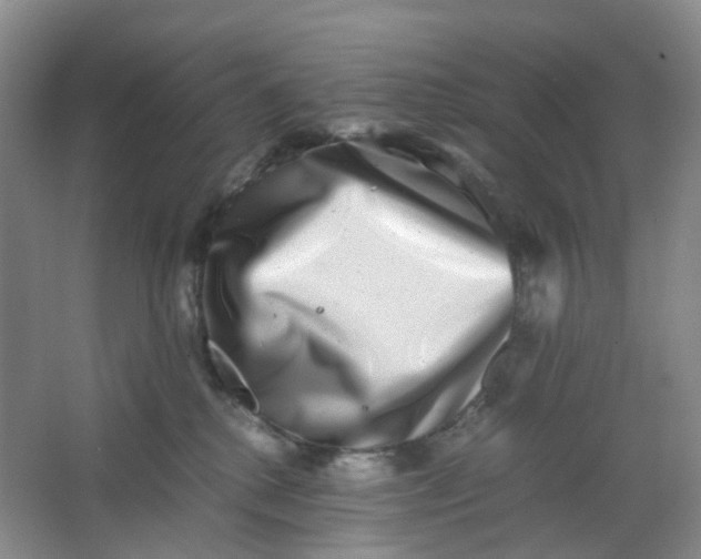 X0000062930280200601271840