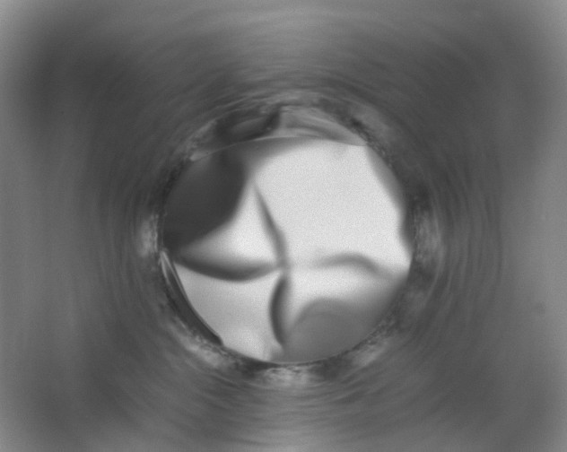 X0000062930284200601271840