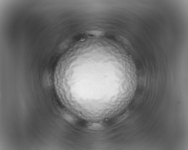 X0000062930285200601271840