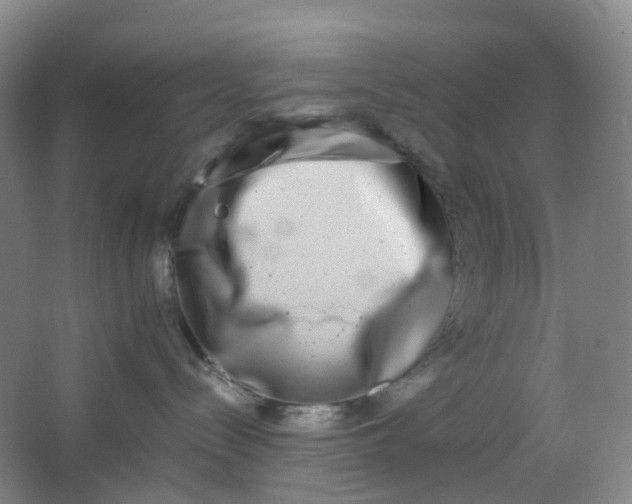 X0000062930288200601271840