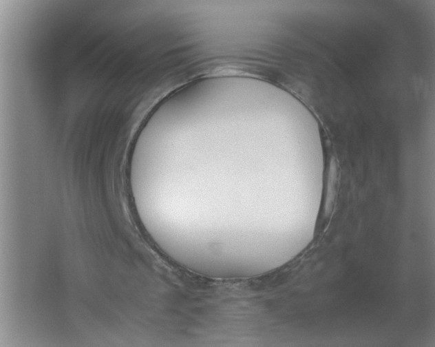 X0000062930289200601271839