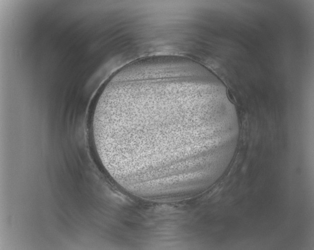 X0000062930290200601271839
