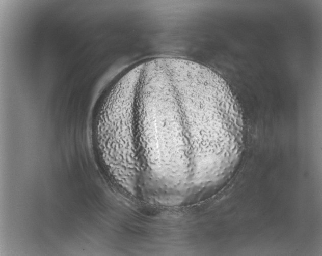 X0000062930294200601271839