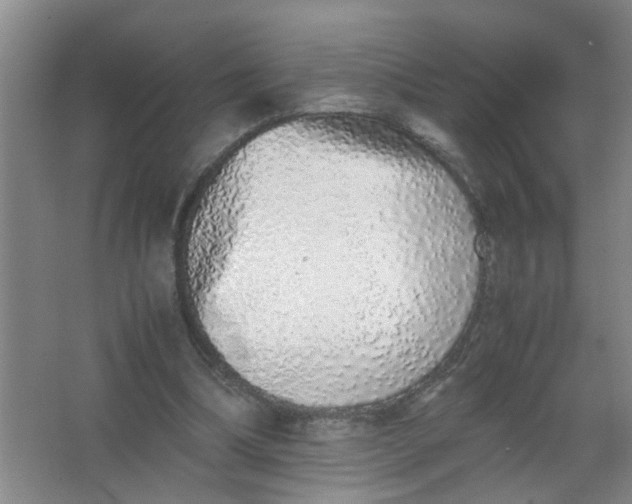 X0000062930298200601271839