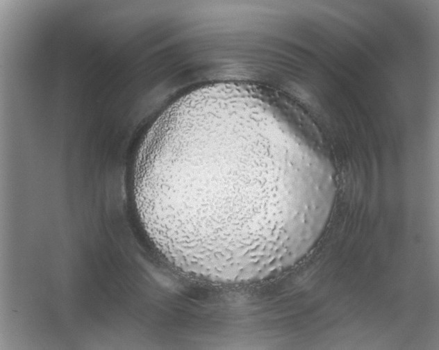X0000062930302200601271839