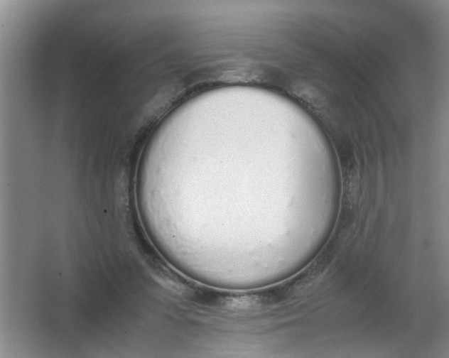X0000062930303200601271839