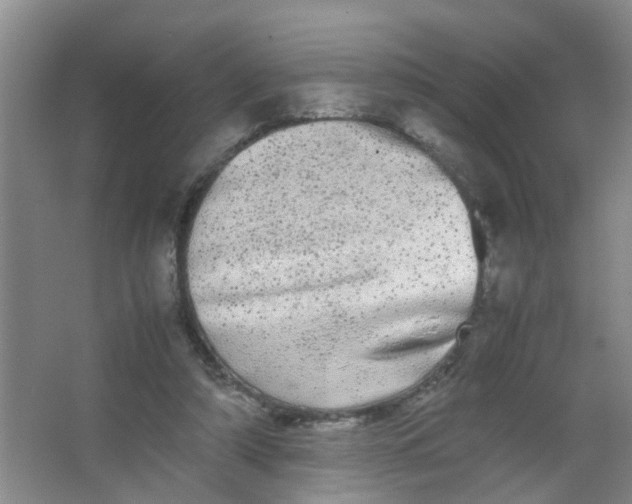 X0000062930306200601271839