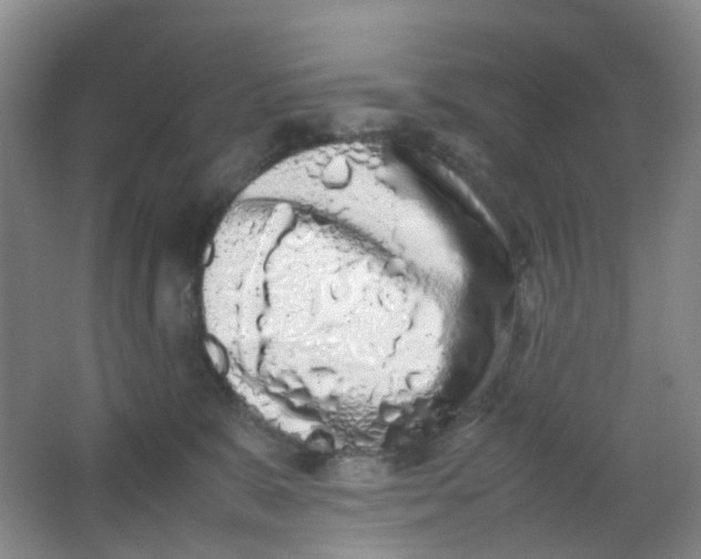 X0000062930327200601271839