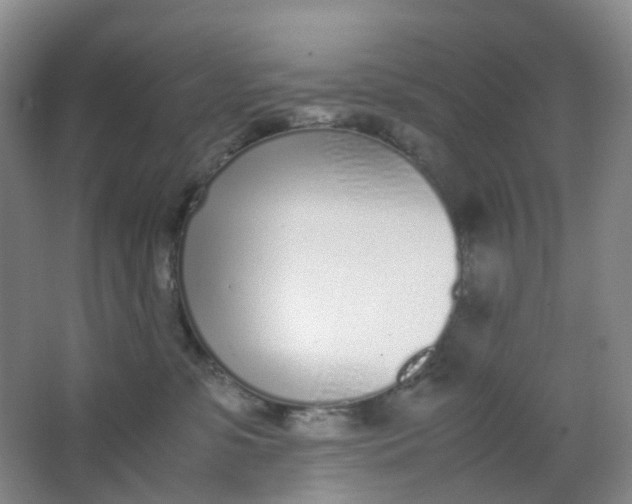 X0000062930331200601271839