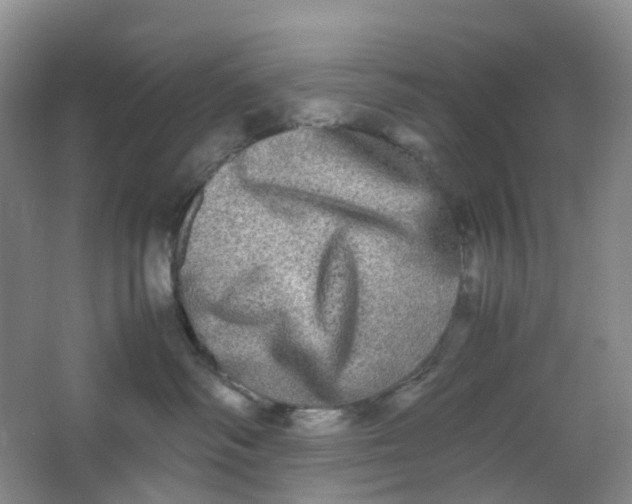 X0000062930334200601271839
