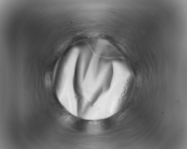 X0000062930335200601271838