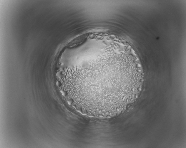 X0000062930337200601271837