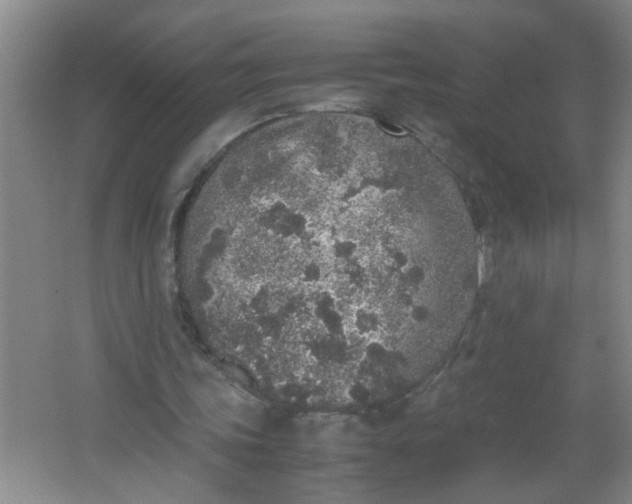 X0000062930339200601271837