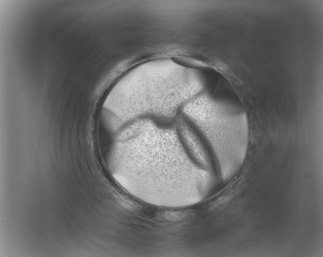 X0000062930341200601271838