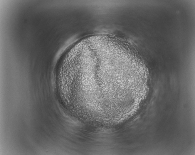 X0000062930343200601271838