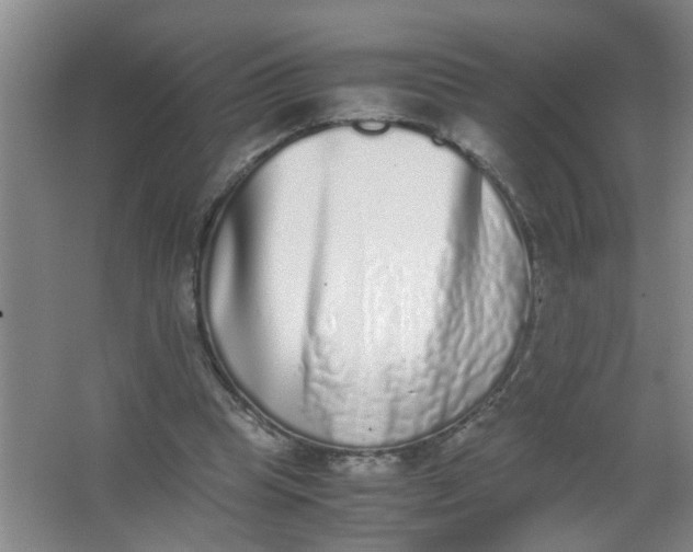 X0000062930345200601271838