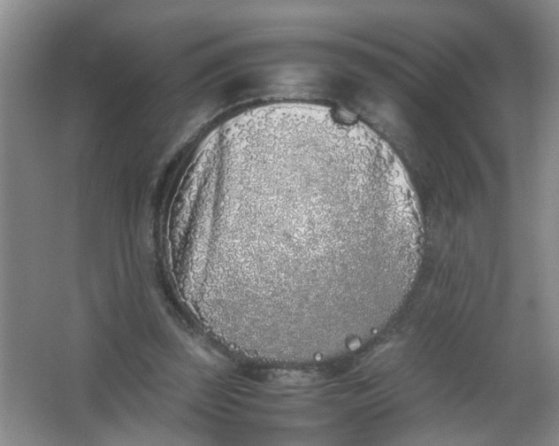 X0000062930347200601271838