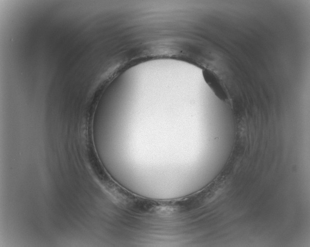 X0000062930352200601271838