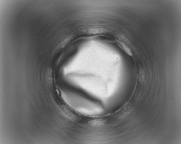 X0000062930356200601271838