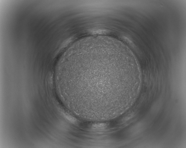 X0000062930357200601271838