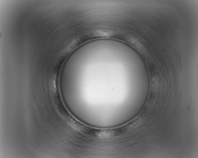 X0000062930358200601271838
