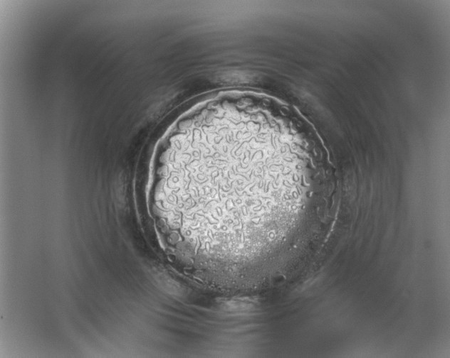 X0000062930359200601271838