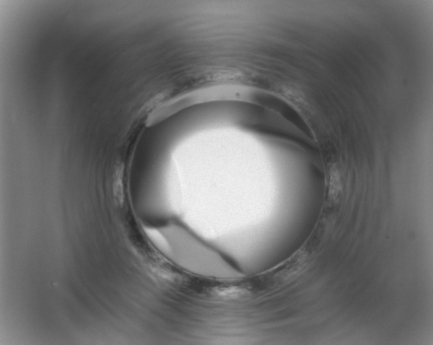 X0000062930360200601271838