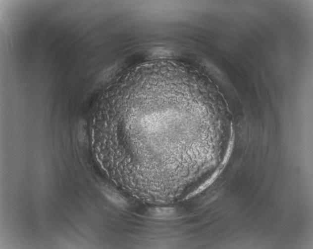 X0000062930361200601271838