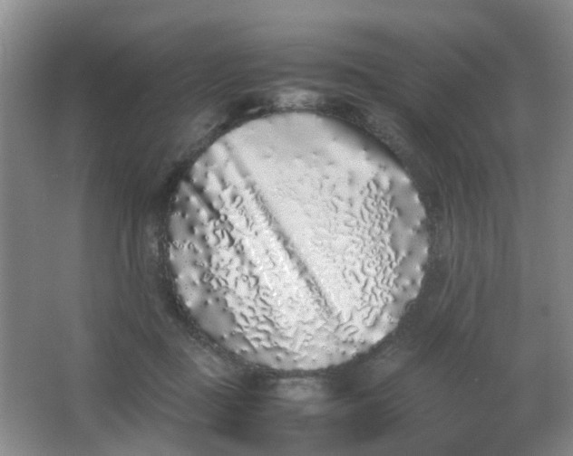 X0000062930363200601271838