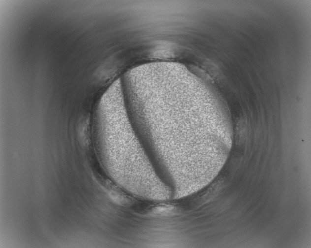 X0000062930364200601271838